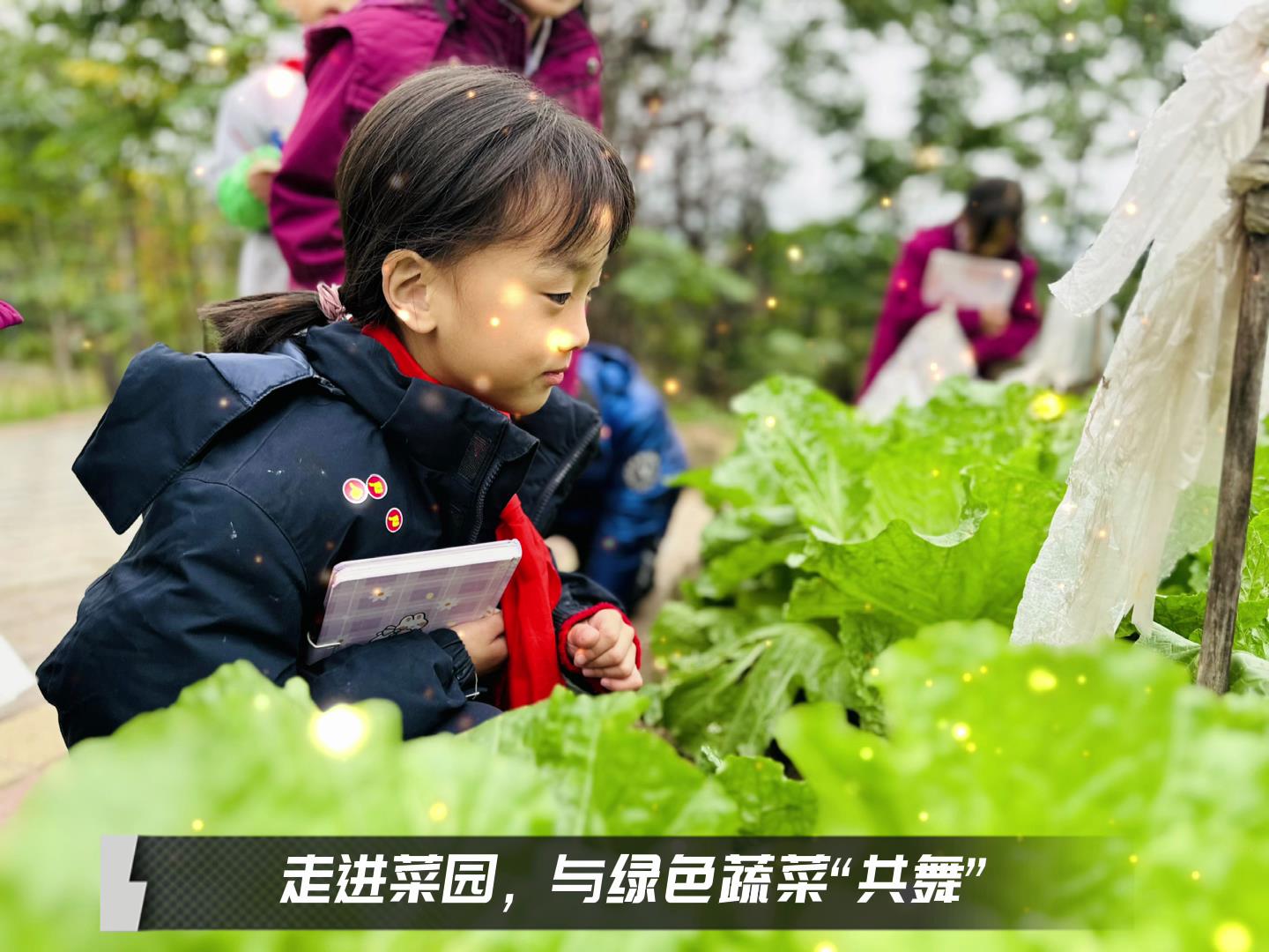 美好學(xué)校|留校時(shí)光，走出教室，與綠色蔬菜共舞