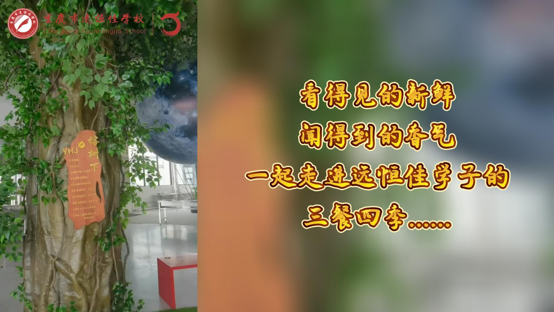 美好學(xué)校|看得見(jiàn)的新鮮，聞得到的香味，一起走進(jìn)遠(yuǎn)恒佳學(xué)子的三餐四季!